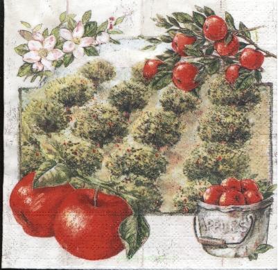 Ubrousek č.630