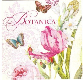 Ubrousek č.531 - Botanica