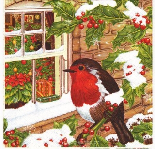 Vánoce 118 - ptáček u okna